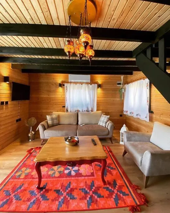 Aslan Villa Fethiye Denize Yakin Merkeze Yakin