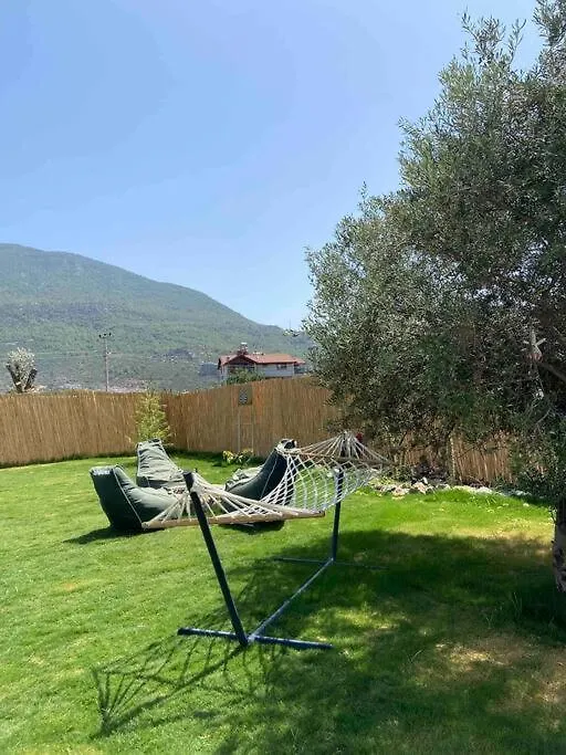 Aslan Villa Fethiye Denize Yakin Merkeze Yakin